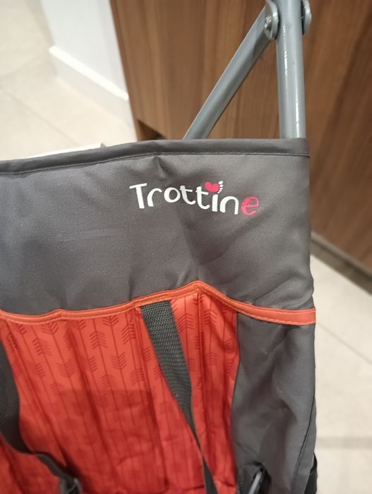 Carrinho de Passeio437357084694302721