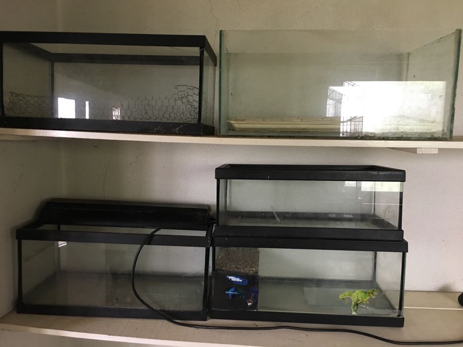 Aquarios pequenos e médios