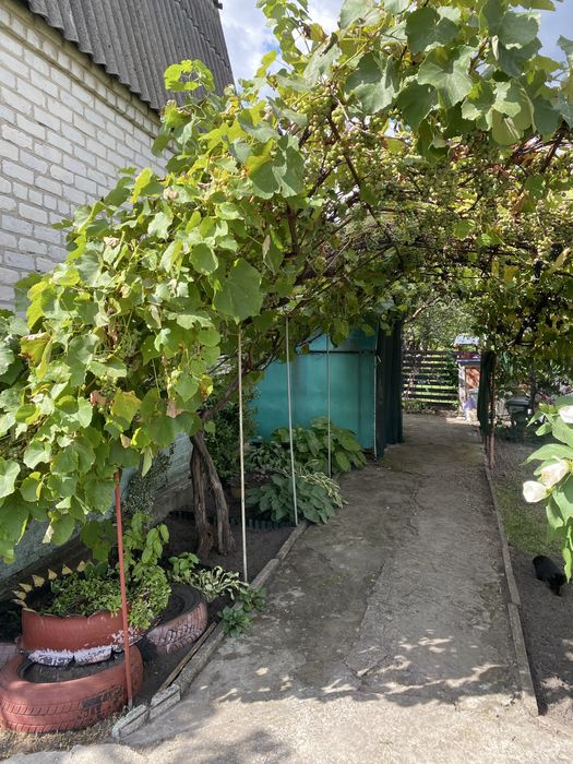 Продам дачу с. Дмитрівка
