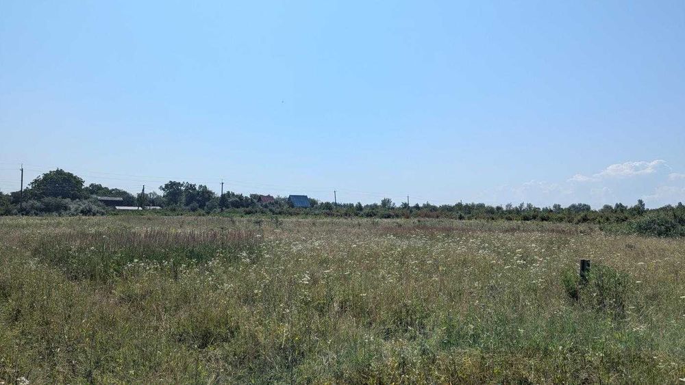 Ділянка біля озера в с.Черніїв(12)