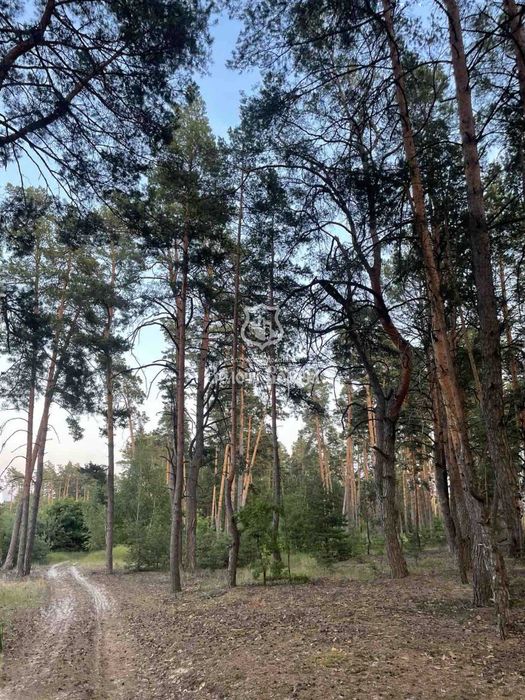 Будинок, 2к. Житловий стан. Київська, 19, село Жукин Вишгородський район