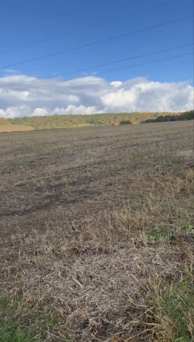 Терміновий продаж, Львів підходить під сонячні панелі, Власник!