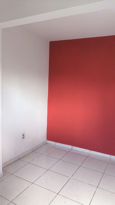 Pintor profissional404655012483573764