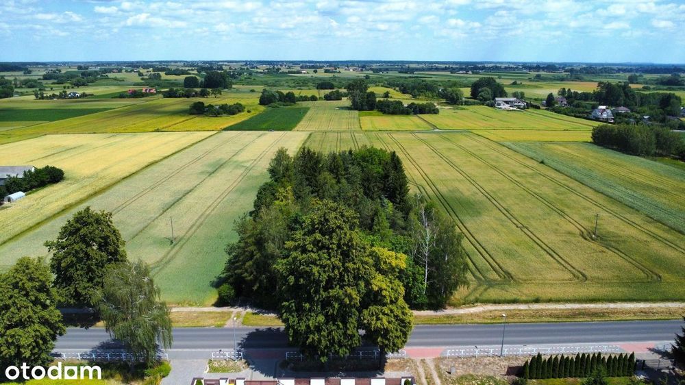 Działka, Jacków