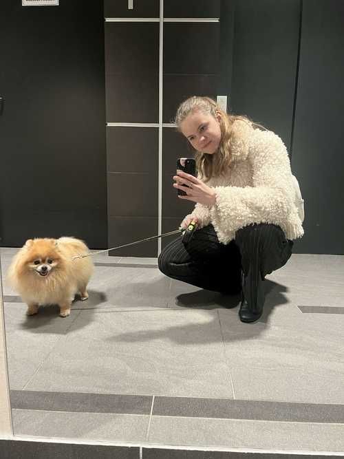 opieka nad zwierzętami/spacery - Warszawa