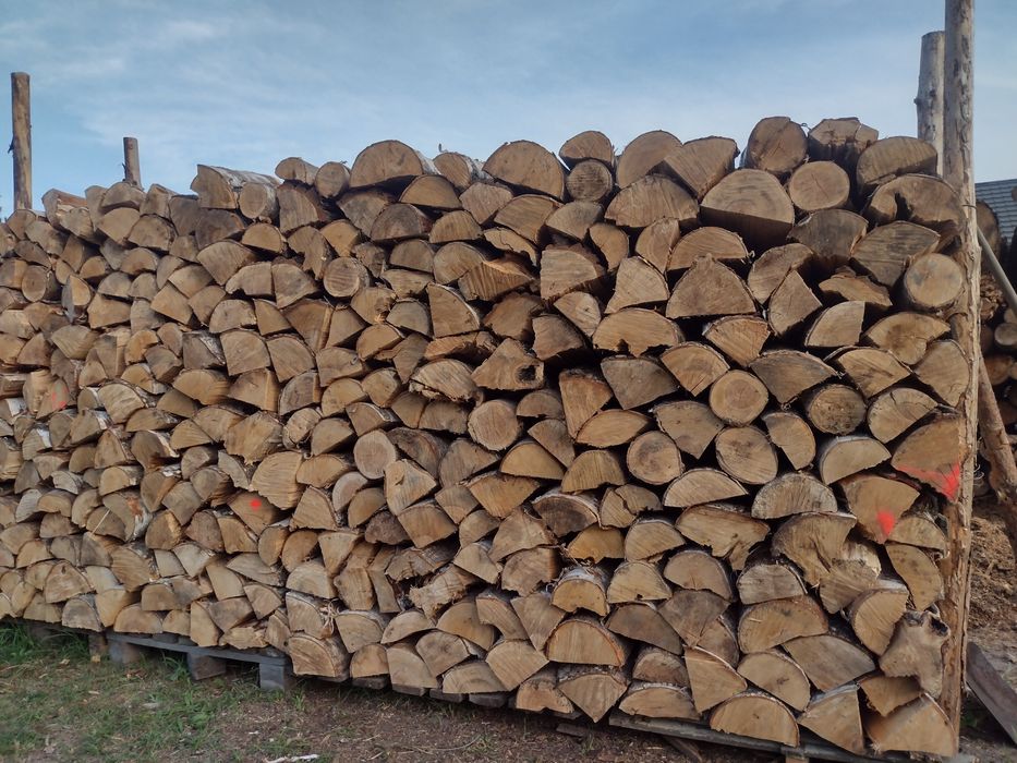 Drzewo, drewno opałowe kominkowe