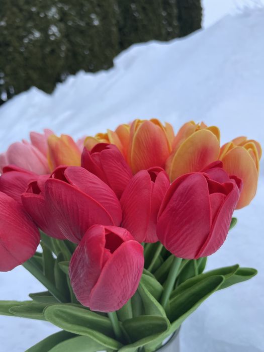 Квіти латексні тюльпани