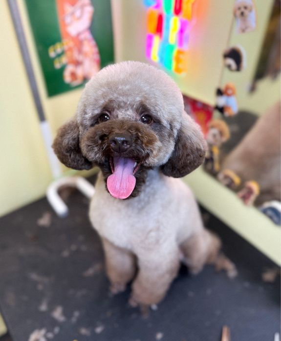 Грумінг на лівому березі