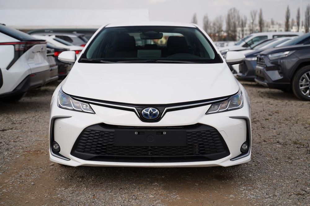 Zdjecie w galerii numer 3