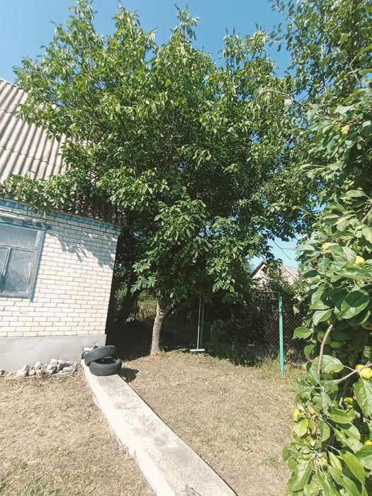 Продаётся дачный участок с домом. Обмен на бус ( фургон )