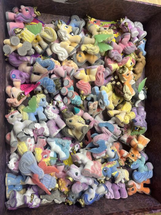 Koniki filly na sztuki