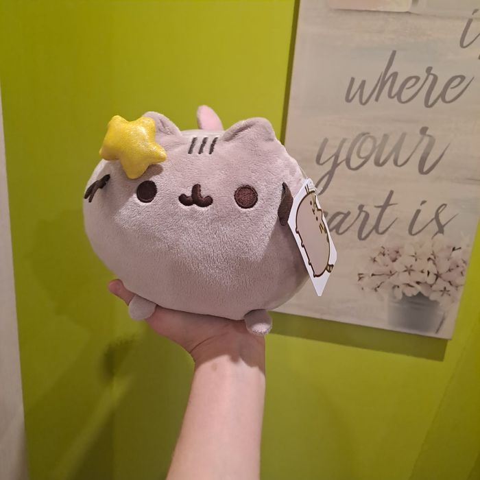 Pusheen syrenka unikat orginalna