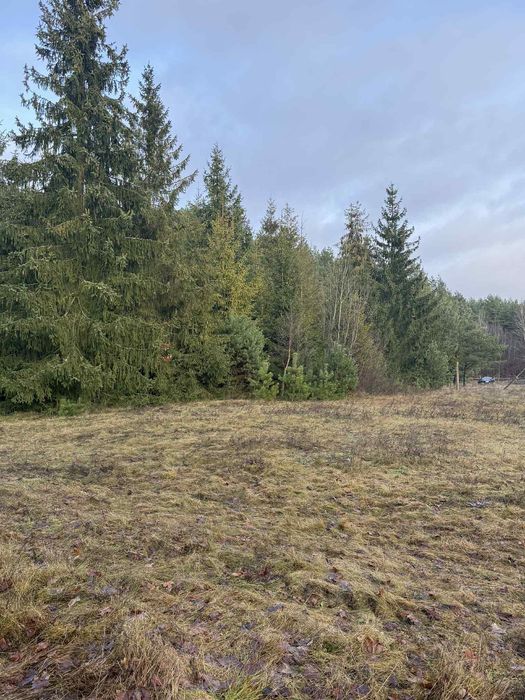 Działka budowlana okolice Gródka - Widok 6