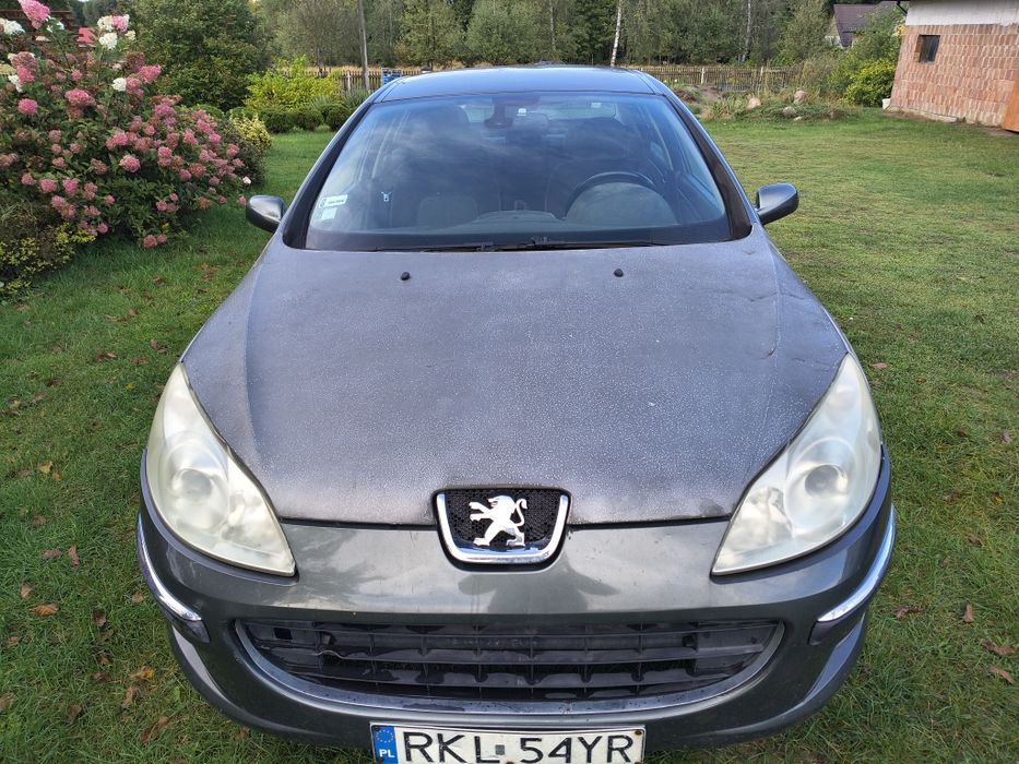 Peugeot 407