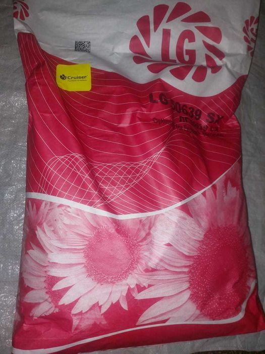 Продам насіння соняшнику