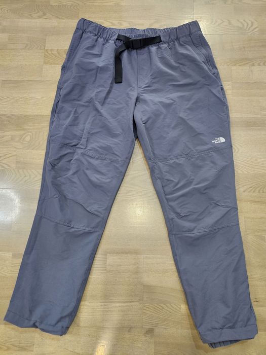 Нейлонові штани The North Face TNF сірі