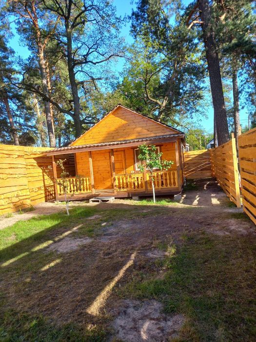 Оренда будинку в лісі біля річки Десна Пірново, Вишгородський район