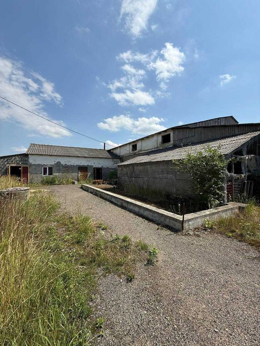 Оренда комерційного приміщення