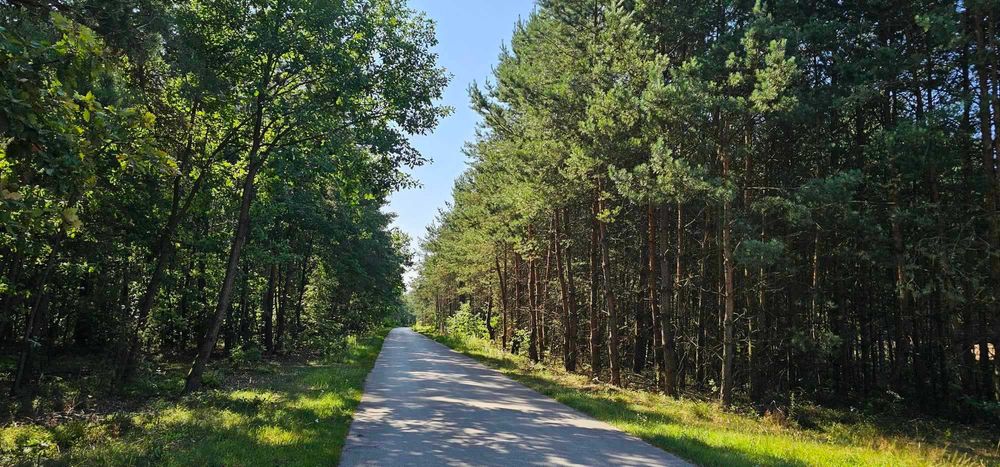 Agroturystyka "Sosenkowe zacisze "