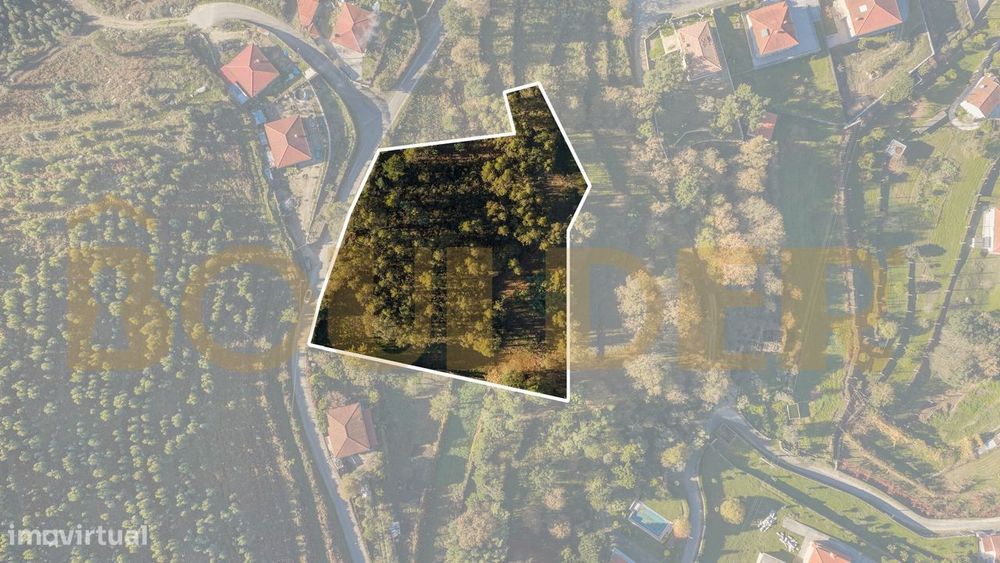 Terreno em Friande