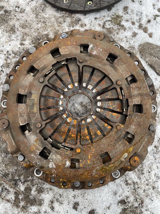 Продам щеплення М47