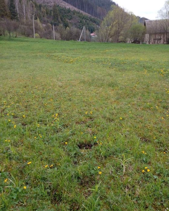 Фасадна ділянка 10 соток під забудову, с. Ізки, с. Пилипець