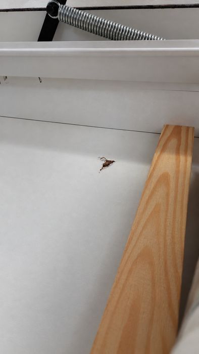 Kanapa narożna z funkcją spania Kawa/Cappuccino Beige