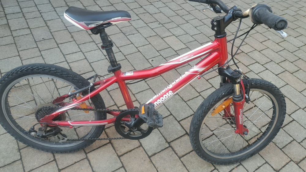 Rowerek dziecięcy 20 cali stan jak na zdjęciach  sprawny