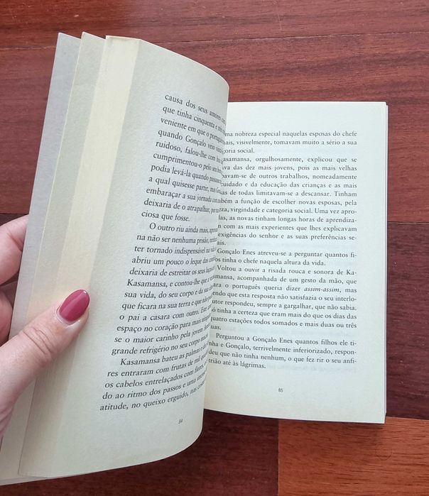 Livro "A Estrela de Gonçalo Enes" de Rosa Lobato de Faria