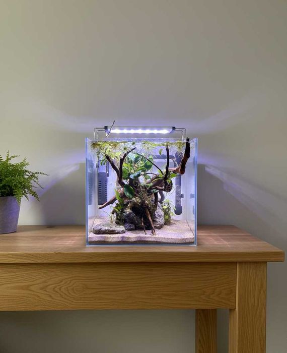 Aquario completo e ciclado