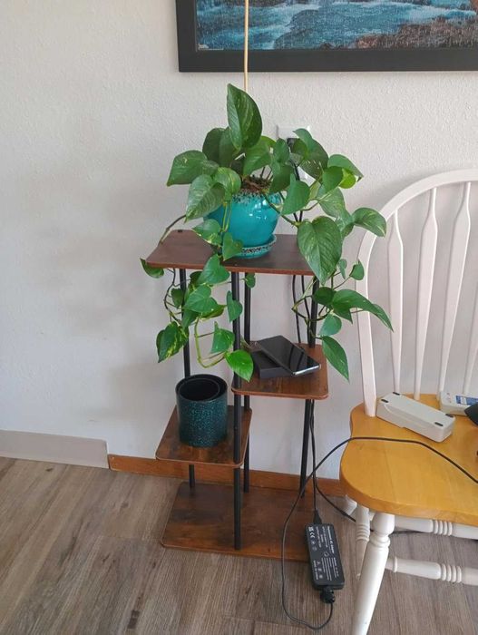 Kwietnik stojak na kwiaty drewniany narożny z 4 poziomami 78 cm