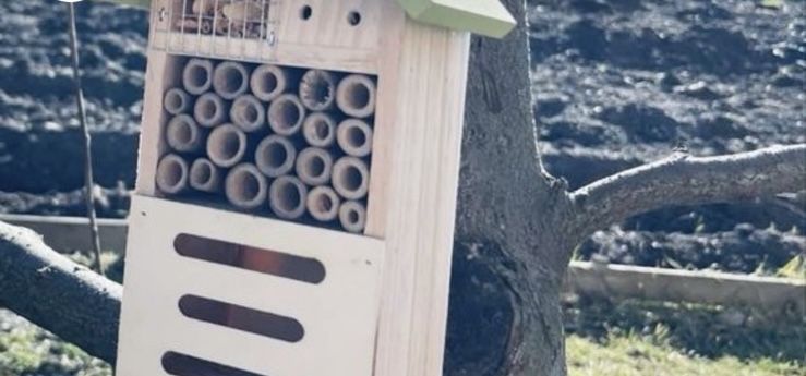 Хатинка будиночок для комахгарна та корисна річ