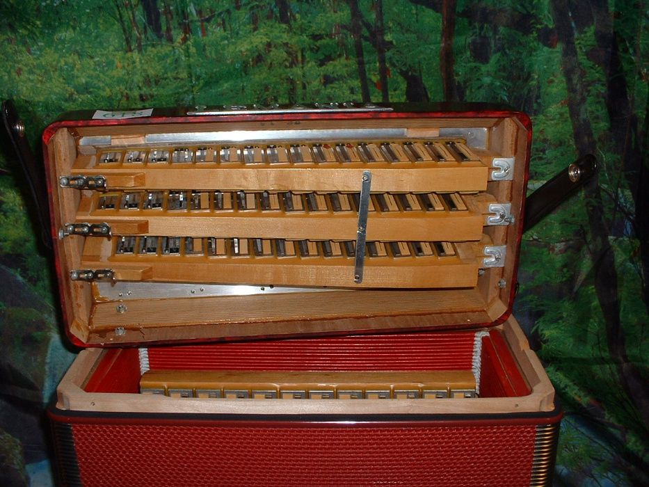 Avenda Acordeao G, .618