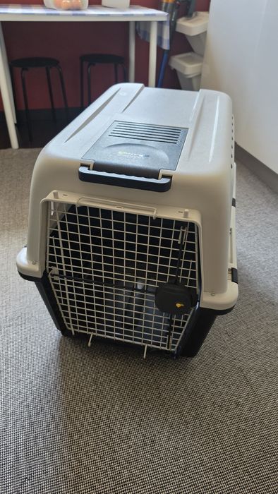 Caixa de Transporte para Cães