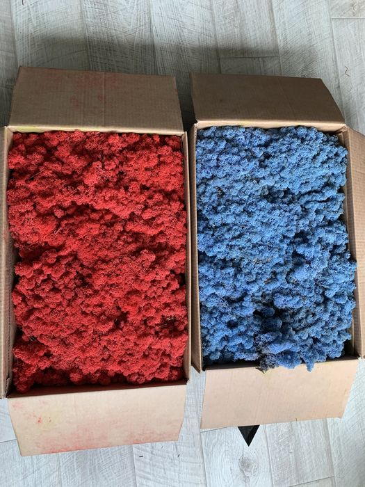 Стабілізований  мох