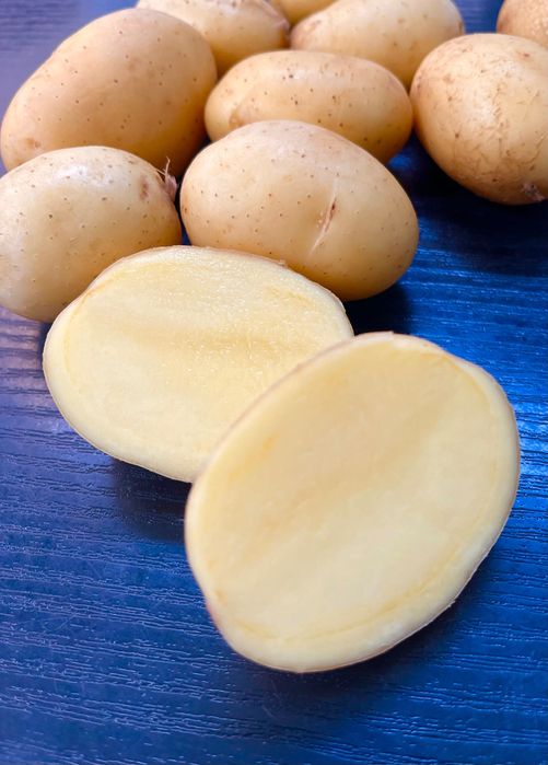 Sprzedam „baby potatoes” ziemniaki  Queen Anna kal.20-45