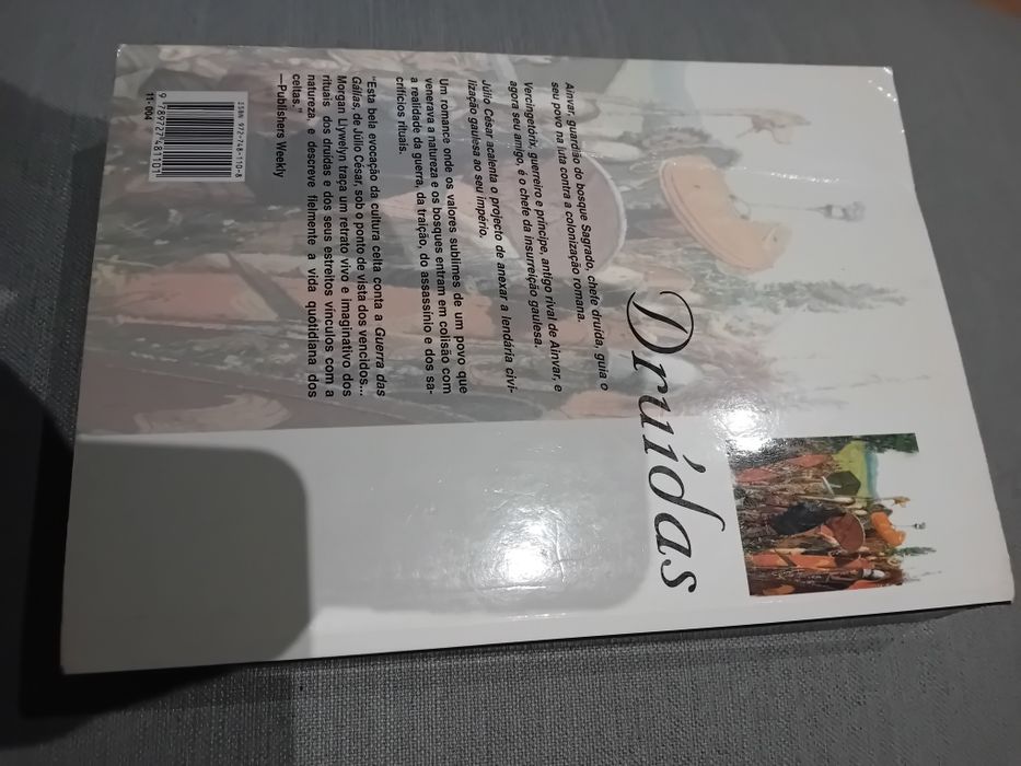 Os Druídas • Morgan Llywelyn