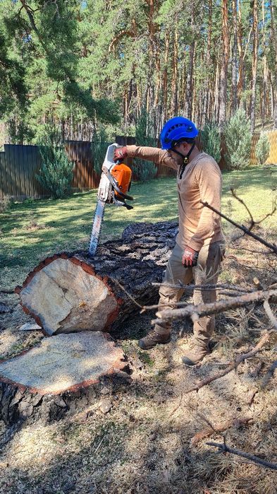 Спил деревьев обрезка веток любой сложности