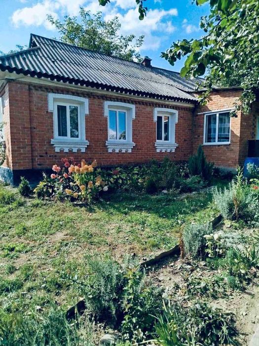 Продам гарний будинок в с.Мізяківські Хутори 2154