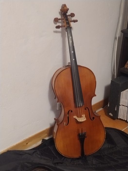 Violoncelo 1/2 Carlo Giordano