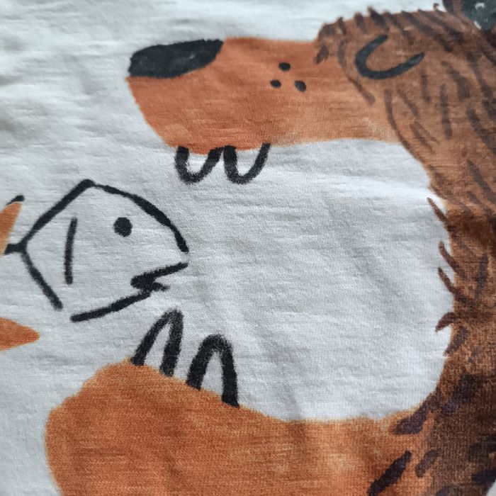Koszulki t-shirt Zara 110 długi rękaw