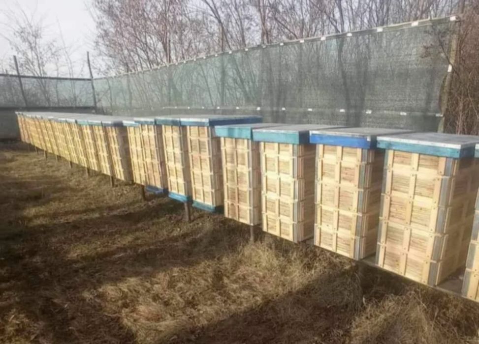 Вулики з очерету