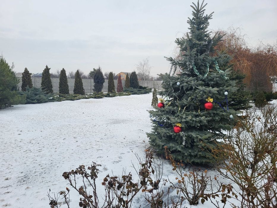 Здається в довгострокову оренду 2х поверховий дім в с. Обухівка