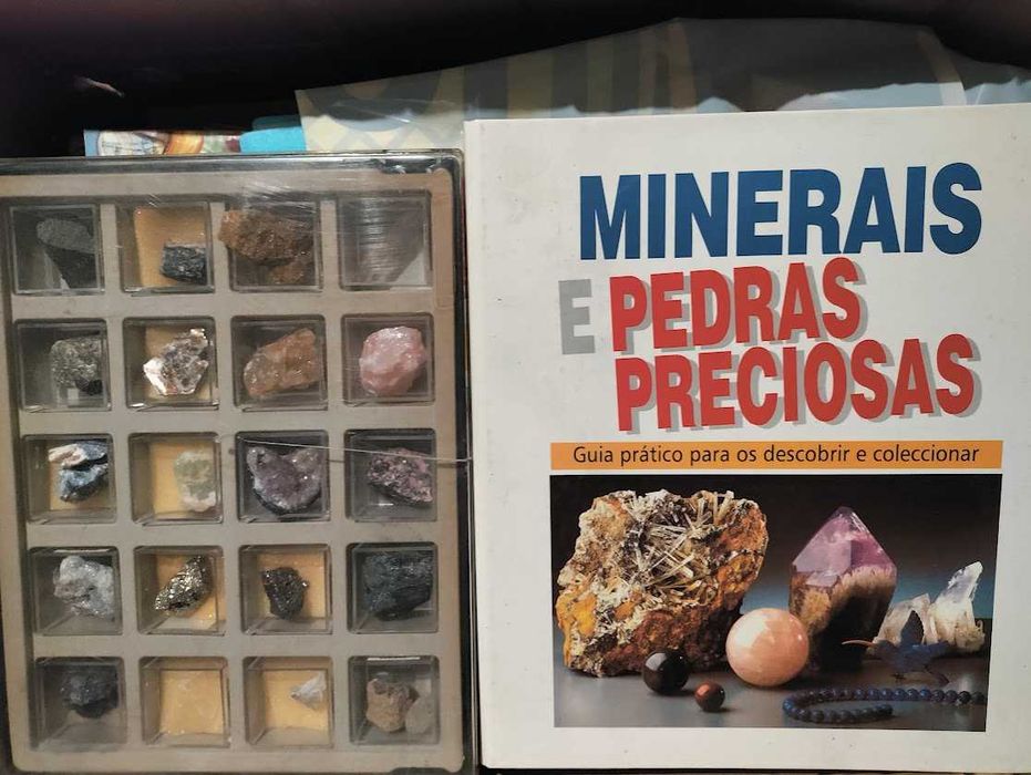 Coleção de minerais com centenas de rochas e cristais