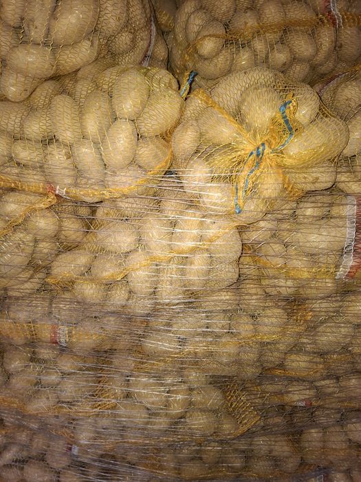 Quinn anna ziemniaki jadalne