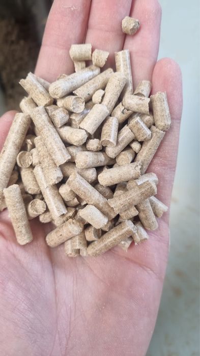 Eko-dom Pellet.Pelet dębowo-sosnowy.Producent