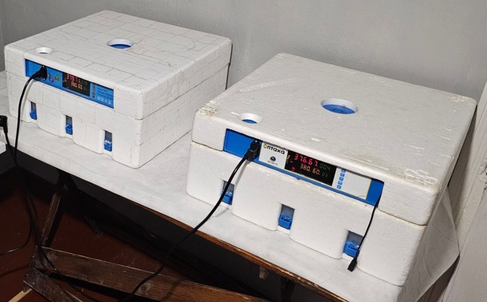 Продам інкубатора