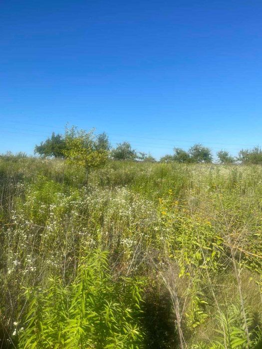 Продам земельну ділянку с.Порозове (0.15 га)