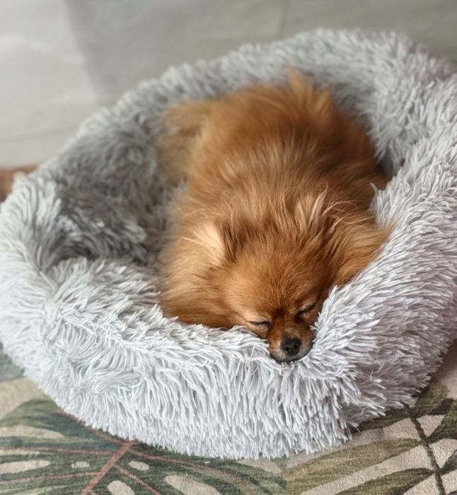 Legowisko dla kota/psa