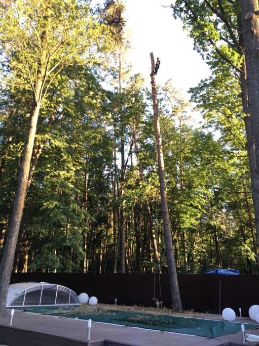 Видалення,спил дерев,кронування,чистка,покос трави та кустарників